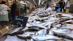 Venta de sardinas para San Juan.