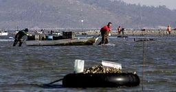 El entorno carrilexo tiene unas caracter�sticas que lo hacen merecedor, dicen los parquistas, de un cuidado especial.