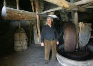 Guillermo Nogueira Veloso, falecido recentemente, xunto ao seu centenario mu��o de aceite. 