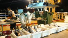 Galicia rica: o bonito do norte, m�is fresco que nunca