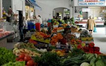 El Concello de Padr�n quiere que todos los puestos y casetas de la plaza est�n ocupados.