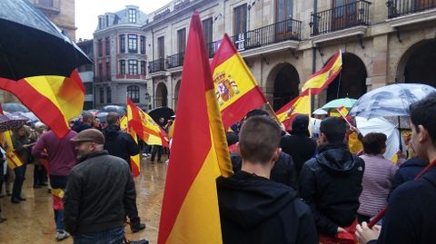 Manifestantes por la unidad de Espa�a en Oviedo