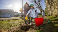 Una reciente plantación de árboles en el colegio Vila de Cee