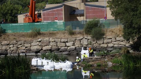 Colocan grandes sacos en el ro Mio en Lugo para reconstruir el caneiro de Acea de Olga