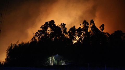 Incendio en el Monte Areo de Gij�n