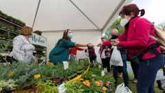 Anterior edici�n de la Feira da Plantaci�n de San Sadurni�o