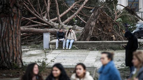 Dos j&oacute;venes, sentados en un banco delante de dos &aacute;rboles ca&iacute;dos por efecto del temporal, en Leiria (Portugal). 