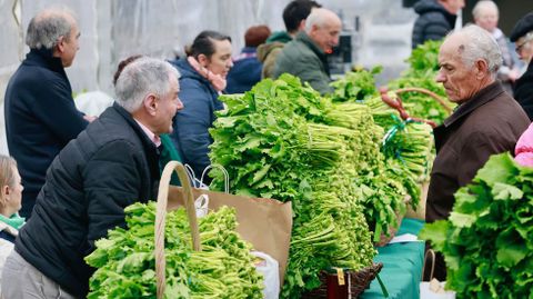 Puestos de venta y exposici�n de grelos.
