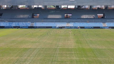 El c�sped de Bala�dos compromete la celebraci�n del Celta-Osasuna en la fecha prevista.