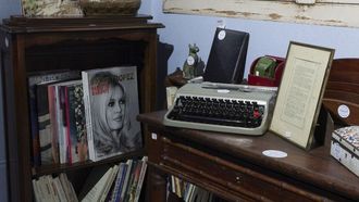 El Hotel Drouot de Par�s mostr� 285 lotes con objetos de Brigitte Bardot puestos a subasta