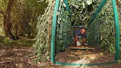 Colocaci�n de una jaula trampa en el parque natural de Corrubedo, en foto de archivo.