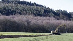 Trabajos de preparaci�n de fincas en Nodar (Friol) en una de las primeras fases de permutas