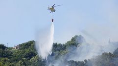 El incendio de Bobor�s calcin� unas 185 hect�reas