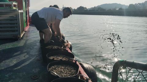 La siembra de almeja dejar&aacute; de hacerse a mano en la r&iacute;a de Pontevedra con un sistema nuevo m&aacute;s mecanizado