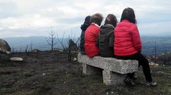 El banco m�s triste del mundo