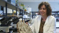 Mar�a del Carmen Seijo Coello 