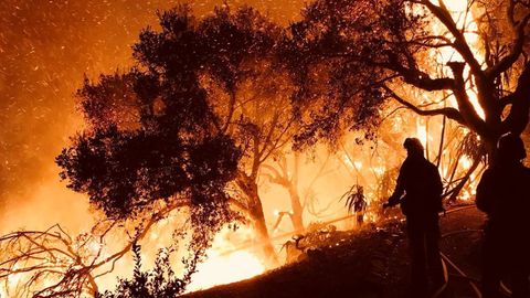 Todas las im�genes del incendio de California