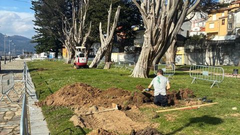 Los trabajos para renovar el parque infantil de los Xard�ns Xulio D�vila, en Ortigueira, han empezado despu�s de las lluvias