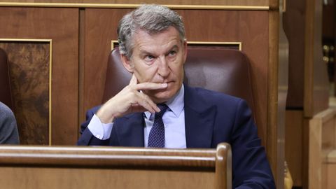 El l�der del PP, Alberto N��ez Feijoo, en su esca�o en el Congreso