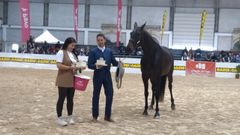 El Concurso Nacional de Pura Raza terminar� este domingo en Lugo.