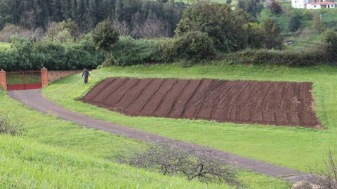 Terreno reci�n sembrado de patatas, entre Montiana y Poago