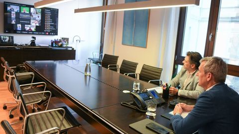 Alfonso Rueda durante la reuni�n telem�tica con centros gallegos de Venezuela.