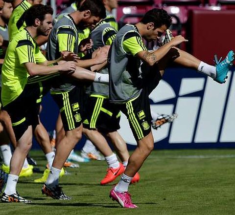 Del Bosque tiene que buscar frescura para el centro del campo de la selecci�n, el m�s castigado por la fatiga de la temporada. 