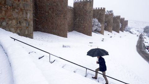 El temporal de nieve en �vila este mi�rcoles.