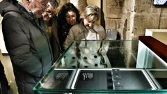 Varios curiosos, observando este jueves las monedas, del tama�o de un c�ntimo, en el Museo Arqueol�xico de Ourense. 