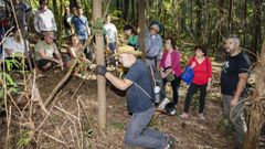 La �ltima limpieza tuvo lugar en O Ara�o