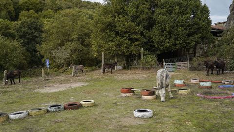 Finca en la que realizan la terapia en la aldea de San Salvador