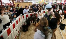 La zona de los ponis fue una de las que m�s atrajeron la atenci�n de los ni�os. 