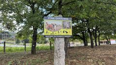 O letreiro conmina a ter coidado cos mastíns, pedindo non achegarse a eles por andaren pendentes de protexer ós animais do lobo.