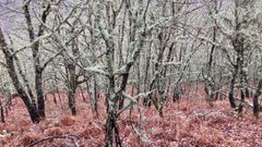 Un�paisaje m�gico