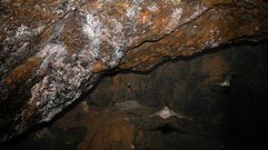 En la Cova das Choias habitan dos tipos de  murci�lagos, el de herradura grande (Rhinolophus ferrumequinum) y el de las cavernas (Miniopterus schreibersii). Las dos son especies protegidas