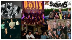 Cartel de la segunda edici�n del Hydra Fest