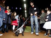 Medio centenar de mascotas asistieron a la primera edici�n.