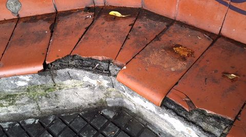 DESTROZOS EN LOS JARDINES DE M�NDEZ N��EZ