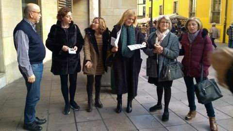 Presentaci�n de los bucles magn�ticos de Oviedo
