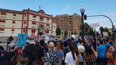 Manifestacin antitaurina en Gijn