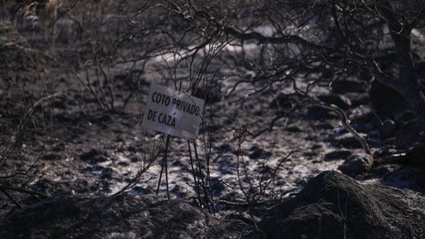 Imagen de los efectos provocados por los incendios en Navalcarnero, Madrid