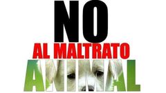 Campa�a contra el maltrato animal