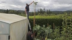 Miguel �ngel P�rez con la berza gigante, en su finca de Escouredo