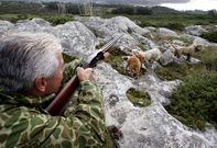 Un cazador carball�s apunta en la rona de O Roncudo-Corme, vinculada a la Venatoria.