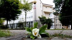 Una vecina dej� una flor en el lugar del suceso