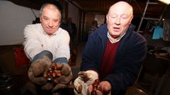 Magostos en Barbanza