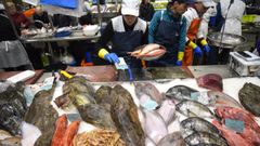 Un puesto de pescados en Pontevedra