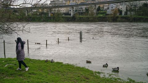 Paseo fluvial del Mi�o