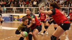 El Guard�s suma once victorias en trece jornadas de liga en Divisi�n de Honor femenina de balonmano.