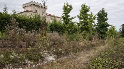 En las zonas verdes prolifera la maleza